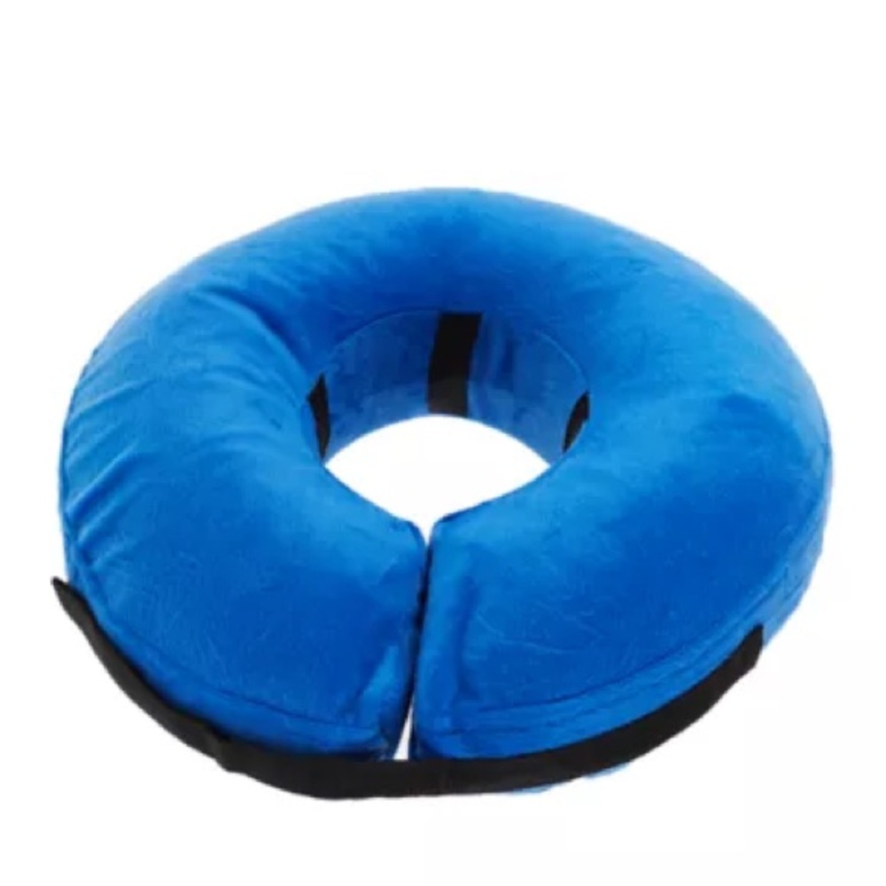 Blue Dog Post Surgery Donut - Gently Used